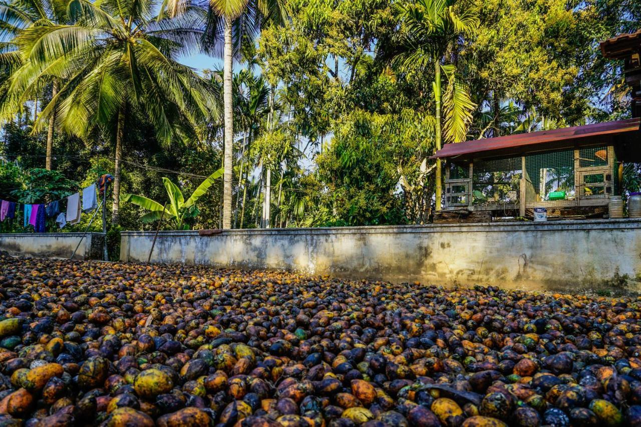 Spice Garden Farm House Sultan Bathery Extérieur photo