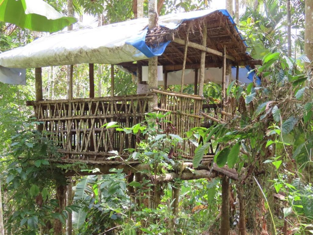 Spice Garden Farm House Sultan Bathery Extérieur photo